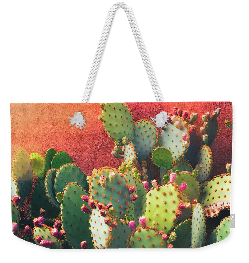 Prickly Pear Cactus Weekender Tote Bag featuring the photograph Prickly Pear Wall by Saija Lehtonen