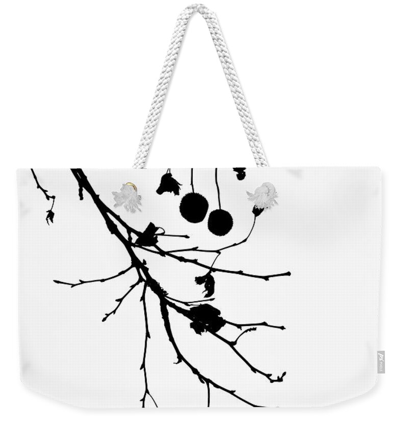 Prickly Weekender Tote Bag featuring the photograph Prickly Tree Seed Pods by Cate Franklyn