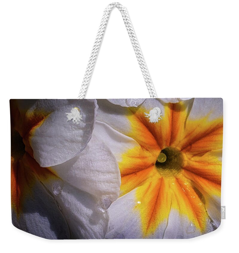 Flower Weekender Tote Bag featuring the photograph Primrose by Dan Eskelson