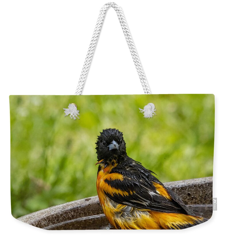 Bird Weekender Tote Bag featuring the photograph Privacy Please by Cathy Kovarik