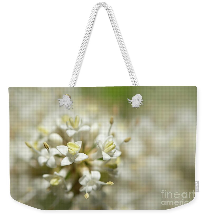 Privet Weekender Tote Bag featuring the photograph Privet Flower in a Seattle Garden by Nancy Gleason