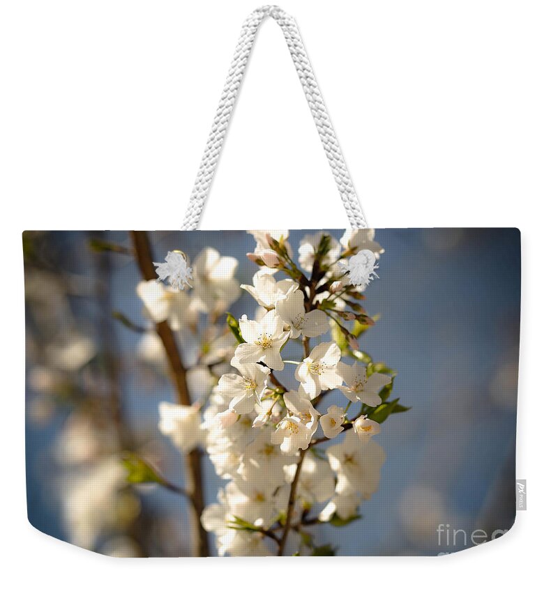 Spring Weekender Tote Bag featuring the photograph Promise of Spring by Veronica Batterson