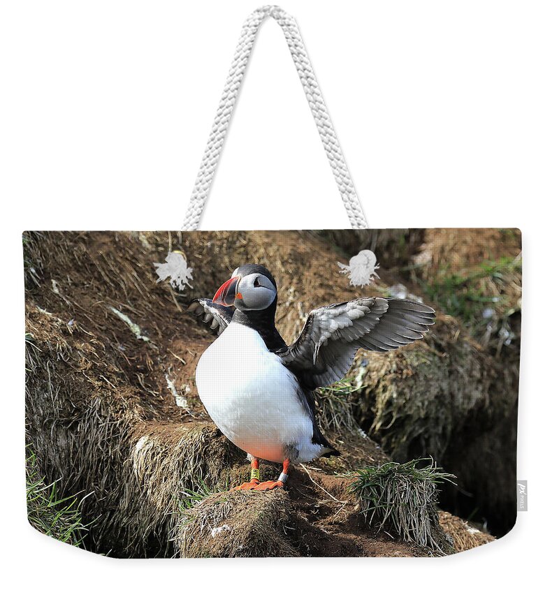 Puffin Weekender Tote Bag featuring the photograph Puffin 2 - Northeast Iceland by Richard Krebs
