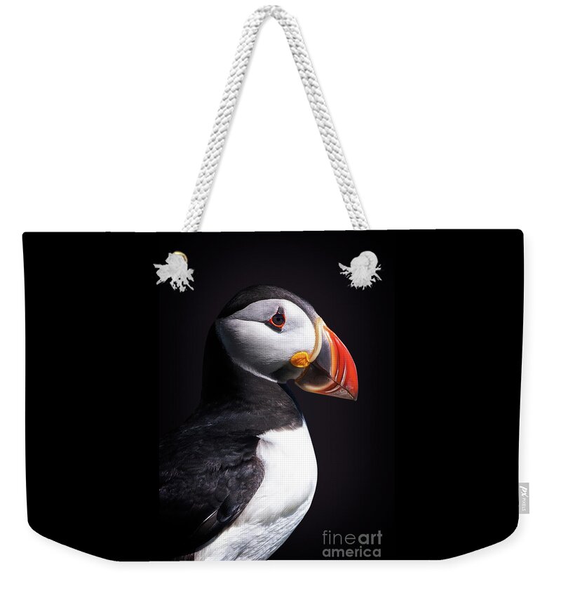 Puffin Weekender Tote Bag featuring the photograph Puffin portrait by Delphimages Photo Creations