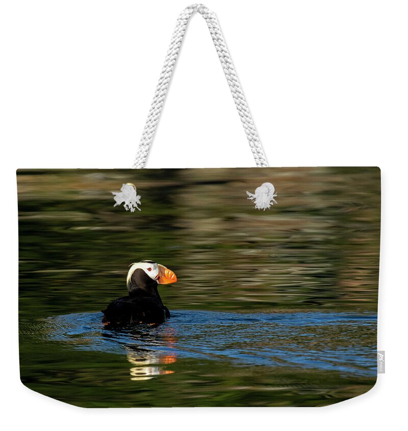 Tufted Puffin Weekender Tote Bag featuring the photograph Puffin Turn by Shari Sommerfeld