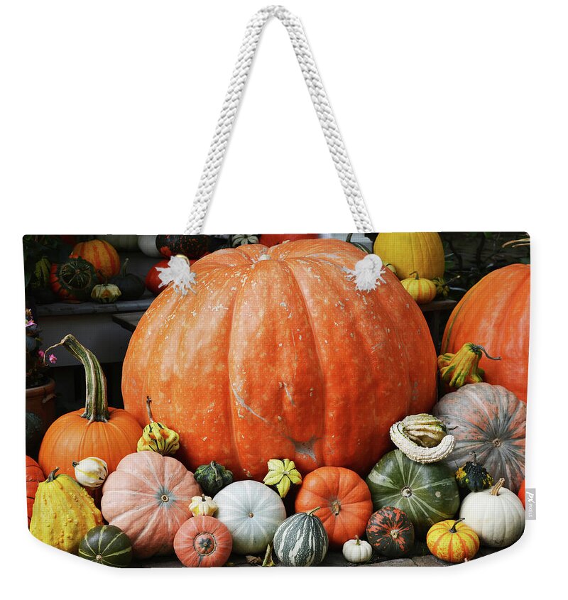 Pumpkin Weekender Tote Bag featuring the photograph Pumpkin Assortment by Aimee L Maher ALM GALLERY