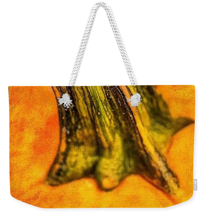 Pumpkin Weekender Tote Bag featuring the painting Pumpkin Stalk by Juliette Becker