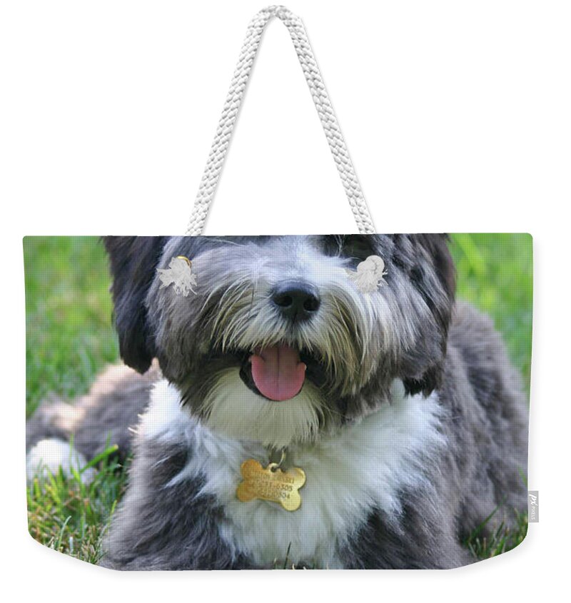 Dog Weekender Tote Bag featuring the photograph Puppy Love by Patty Colabuono