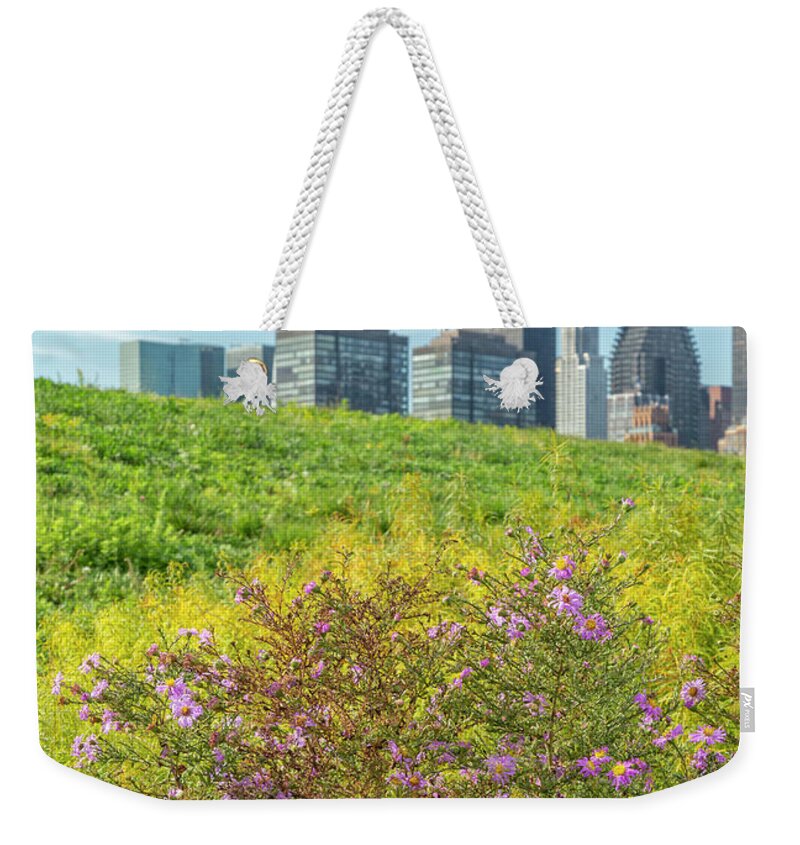Roosevelt Island Weekender Tote Bag featuring the photograph Purple Autumn Wild Flowers by Cate Franklyn