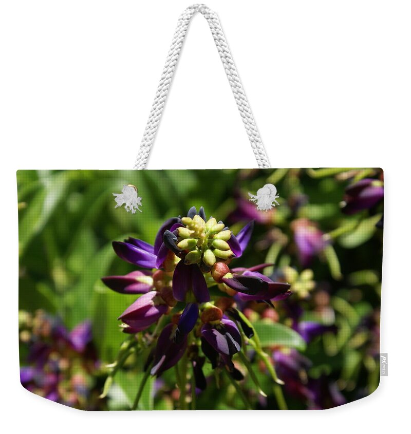 Flower Weekender Tote Bag featuring the photograph Purple Buds by Heather E Harman