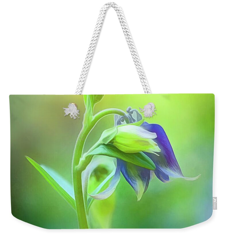 Purple Columbine Weekender Tote Bag featuring the photograph Purple Columbine Bloom and Buds by Anita Pollak