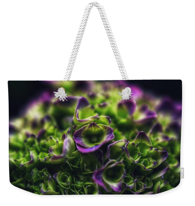 Photo Weekender Tote Bag featuring the photograph Purple Crown Close up by Evan Foster