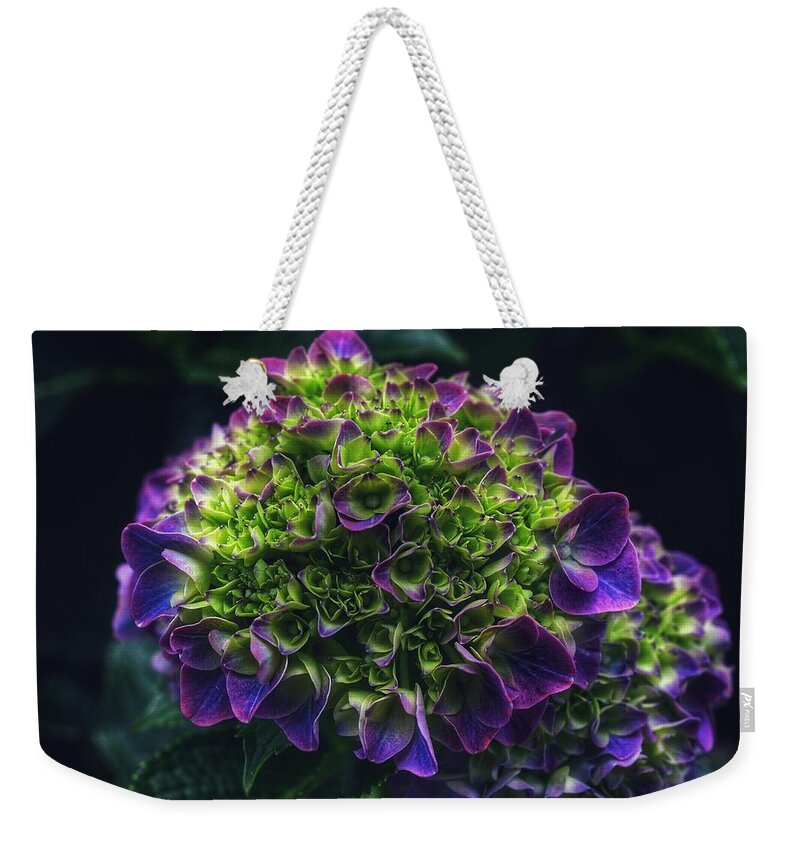 Photo Weekender Tote Bag featuring the photograph Purple Crown by Evan Foster