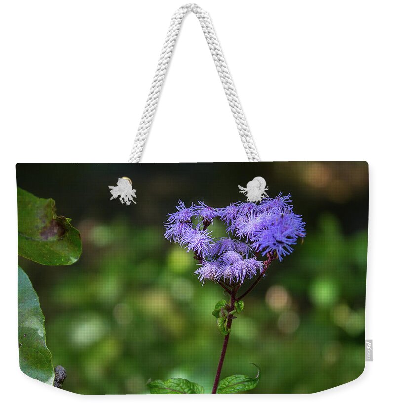 Flowers Weekender Tote Bag featuring the photograph Purple Fuz by David Beechum