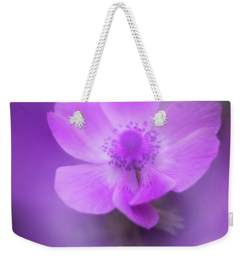 Anemone Coronaria Weekender Tote Bag featuring the photograph Purple Haze by Venetta Archer