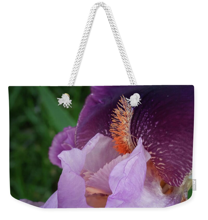 Healing Weekender Tote Bag featuring the photograph Purple Iris at attention by David Coblitz