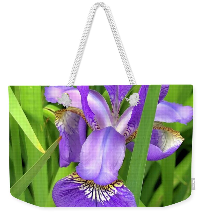 Flower Weekender Tote Bag featuring the photograph Purple Iris in the Green Grass by Lisa Pearlman