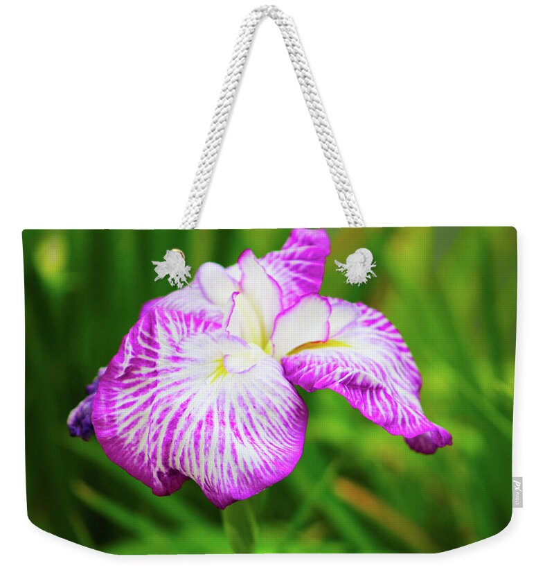 Flower Weekender Tote Bag featuring the photograph Purple Iris Passion by Marcus Jones