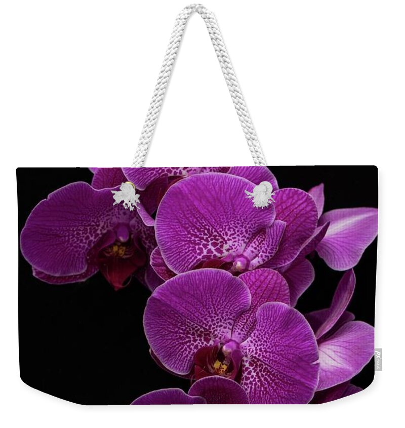 Orchid Weekender Tote Bag featuring the photograph Purple Passion On Black by Willie Harper