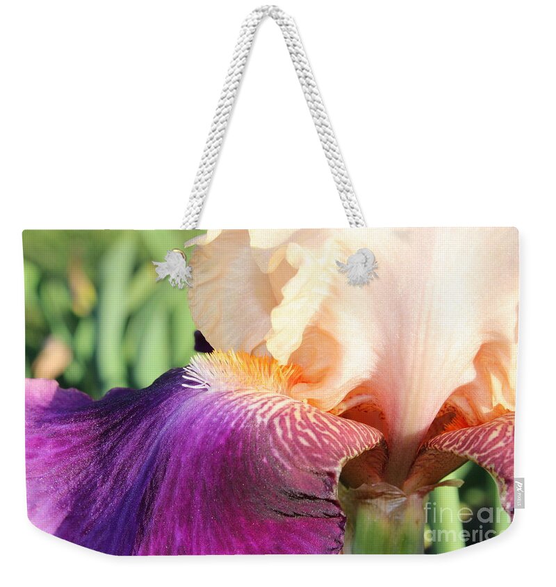 Iris Weekender Tote Bag featuring the photograph Purple Pink by Stefania Caracciolo