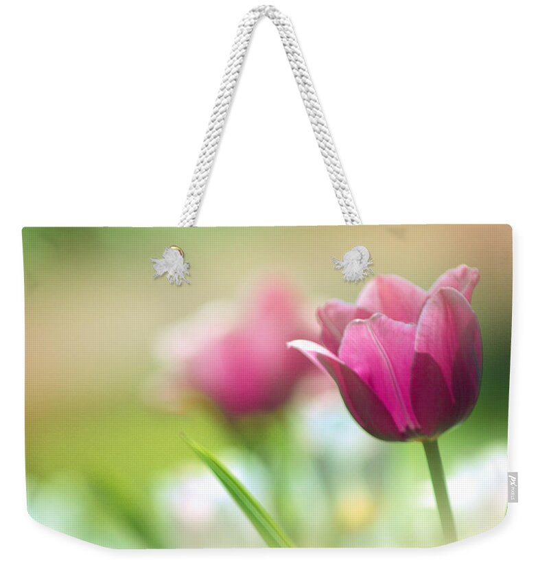 Art Weekender Tote Bag featuring the photograph Purple Tulip Delight by Joan Han