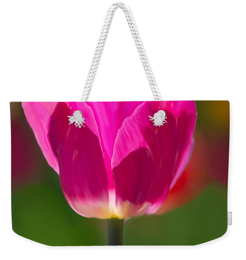 Art Weekender Tote Bag featuring the photograph Purple Tulip II by Joan Han