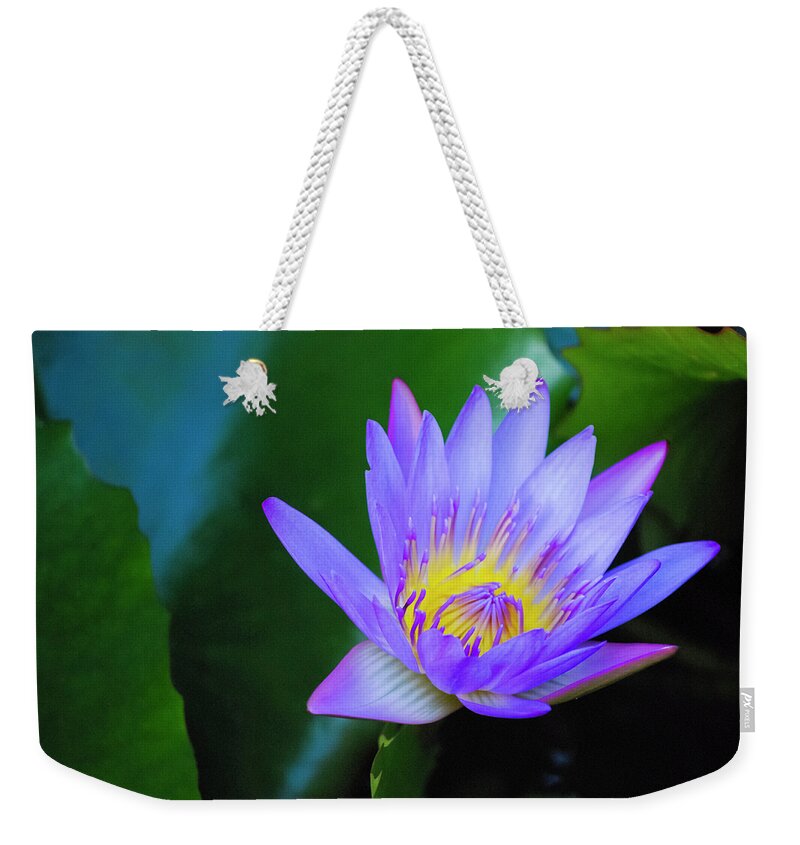 Exotic Flower Weekender Tote Bag featuring the photograph Purple Water Lily by Christi Kraft