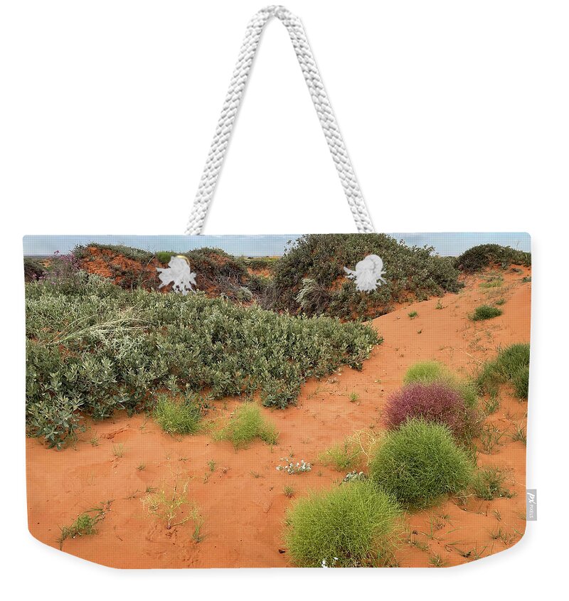 Richard Porter Weekender Tote Bag featuring the photograph Purples and Whites, Maljamar, New Mexico by Richard Porter