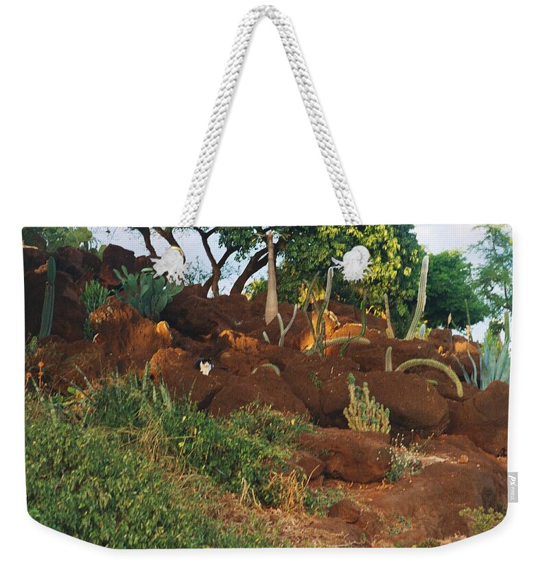 Cat Weekender Tote Bag featuring the photograph Purrs and Spurs by Bess Carter