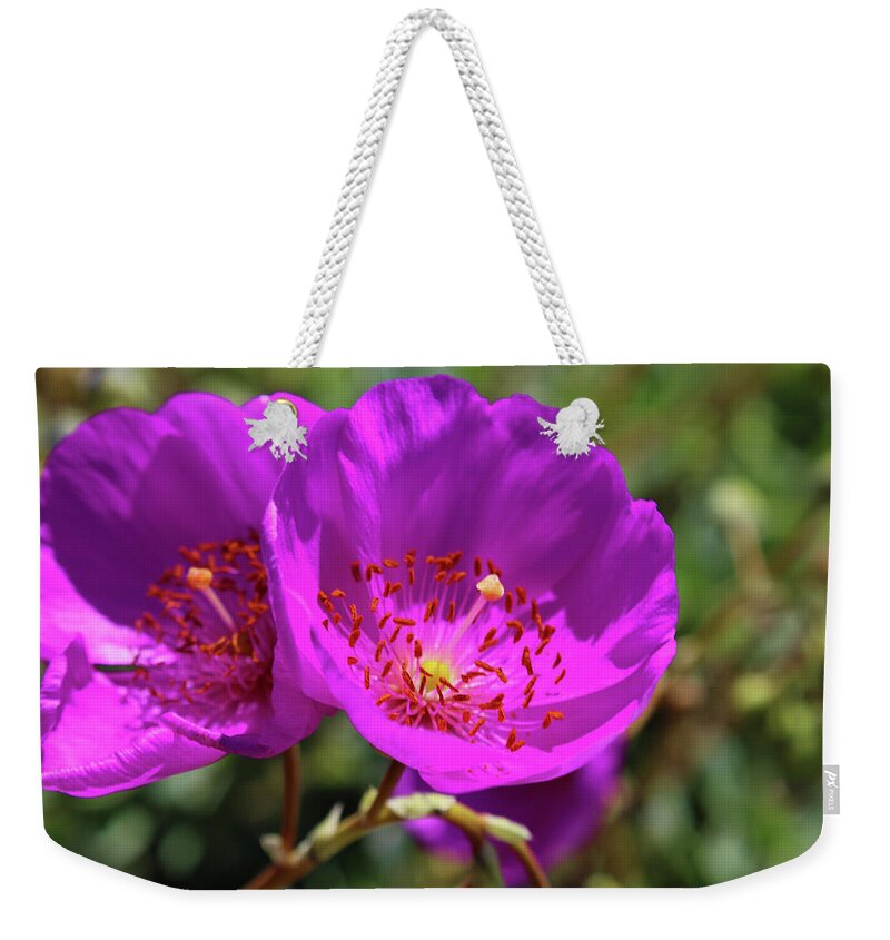 Flowers Weekender Tote Bag featuring the photograph Pussypaws on the Beach by Marcus Jones