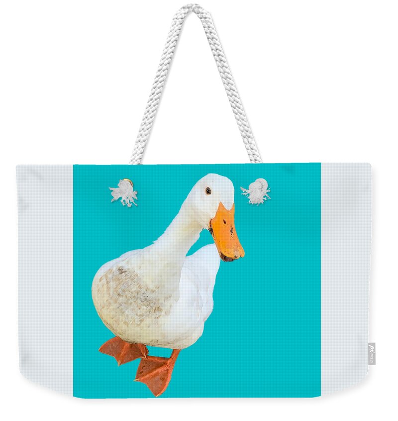 Duck Weekender Tote Bag featuring the photograph Quackadoodledoo by Lee Darnell