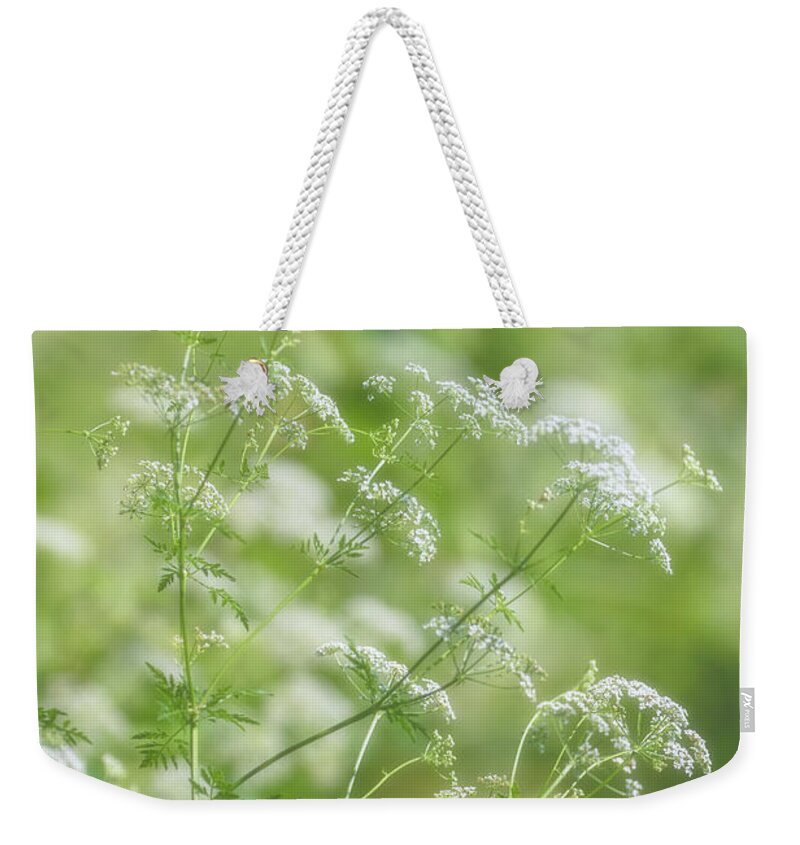 Flower Weekender Tote Bag featuring the photograph Queen Anne's Lace #2 by Allin Sorenson