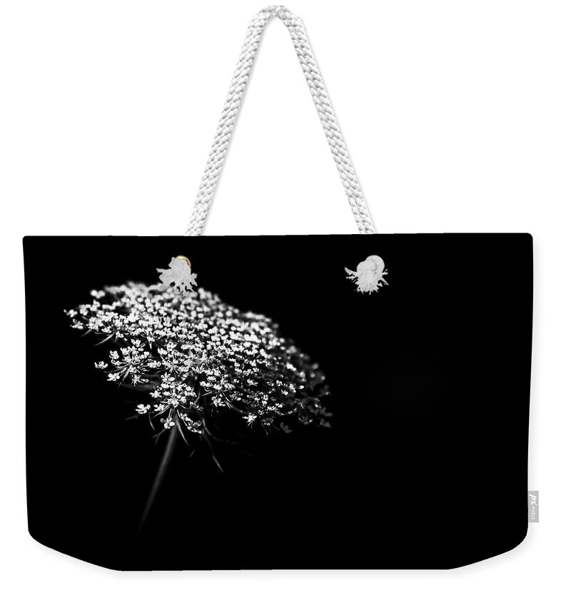 Queen Annes Lace Weekender Tote Bag featuring the photograph Queen Anne's Lace by Holly Ross