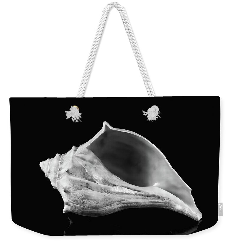 B&w Weekender Tote Bag featuring the photograph Queen Conch Seashell by Anthony Sacco