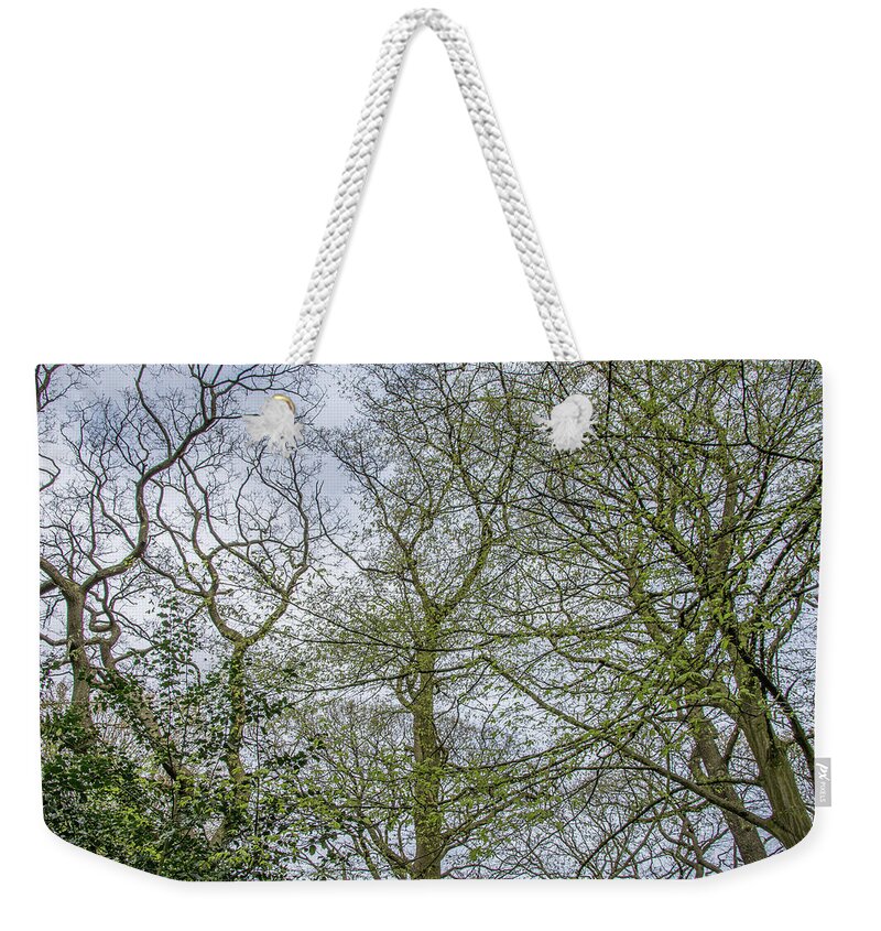 Queen's Wood Weekender Tote Bag featuring the photograph Queen's Wood Trees Spring 1 by Edmund Peston