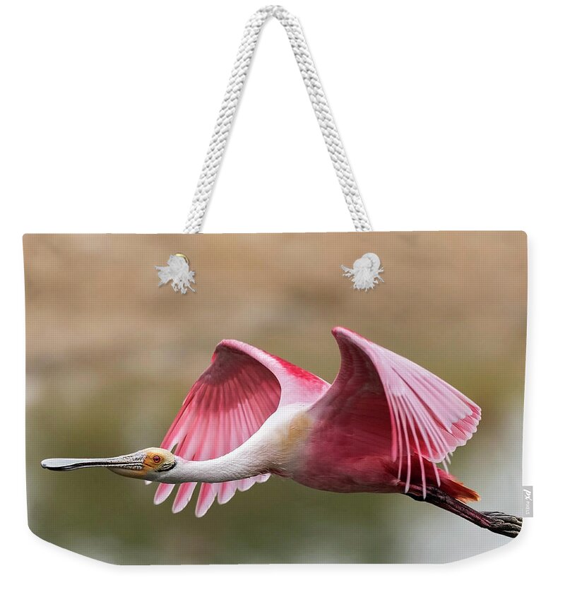 Roseate Spoonbill Weekender Tote Bag featuring the photograph Quest for Nest Material by Puttaswamy Ravishankar