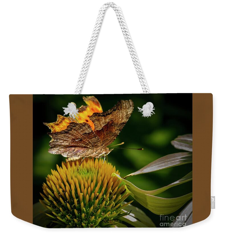 Northern Arizona Weekender Tote Bag featuring the photograph Questioning The Cure by Jim Wilce