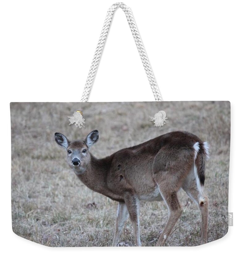 Deer Weekender Tote Bag featuring the photograph Quick Glimpse by Lee Darnell