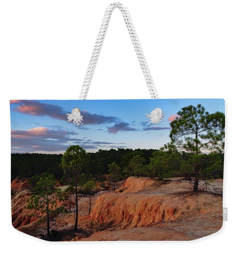 Forest Weekender Tote Bag featuring the photograph Quiet Pine Trees at Twilight in Algarve by Angelo DeVal