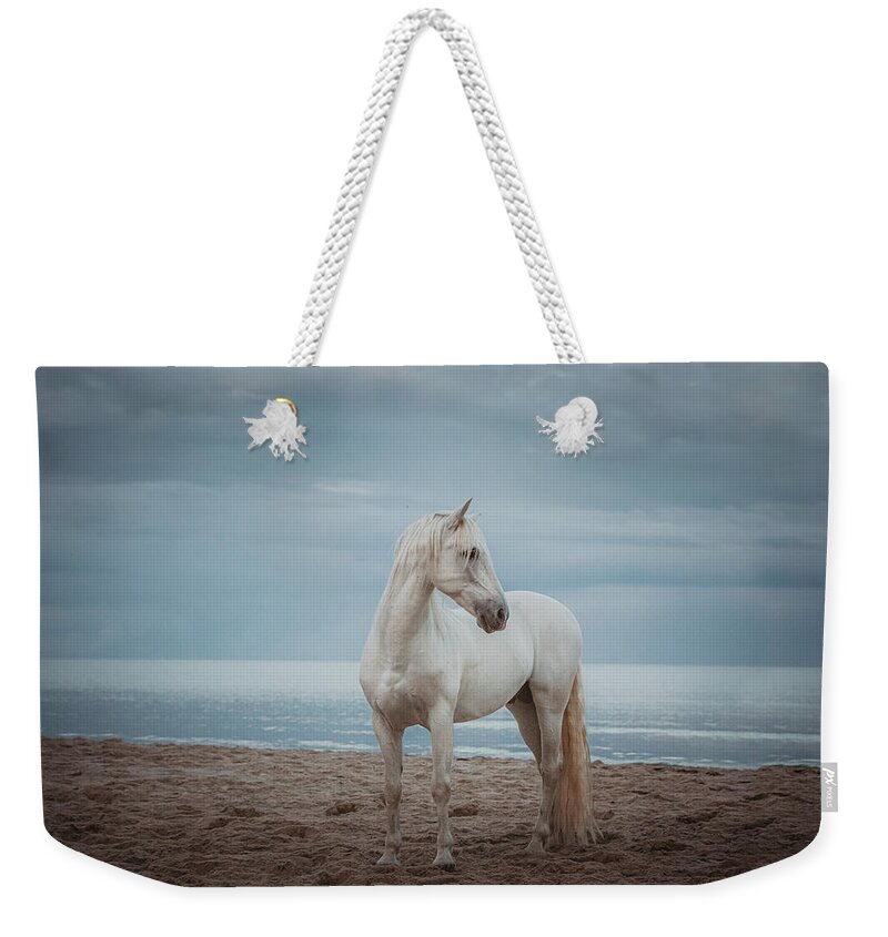 Photographs Weekender Tote Bag featuring the photograph Quiet Storm - Horse Art by Lisa Saint