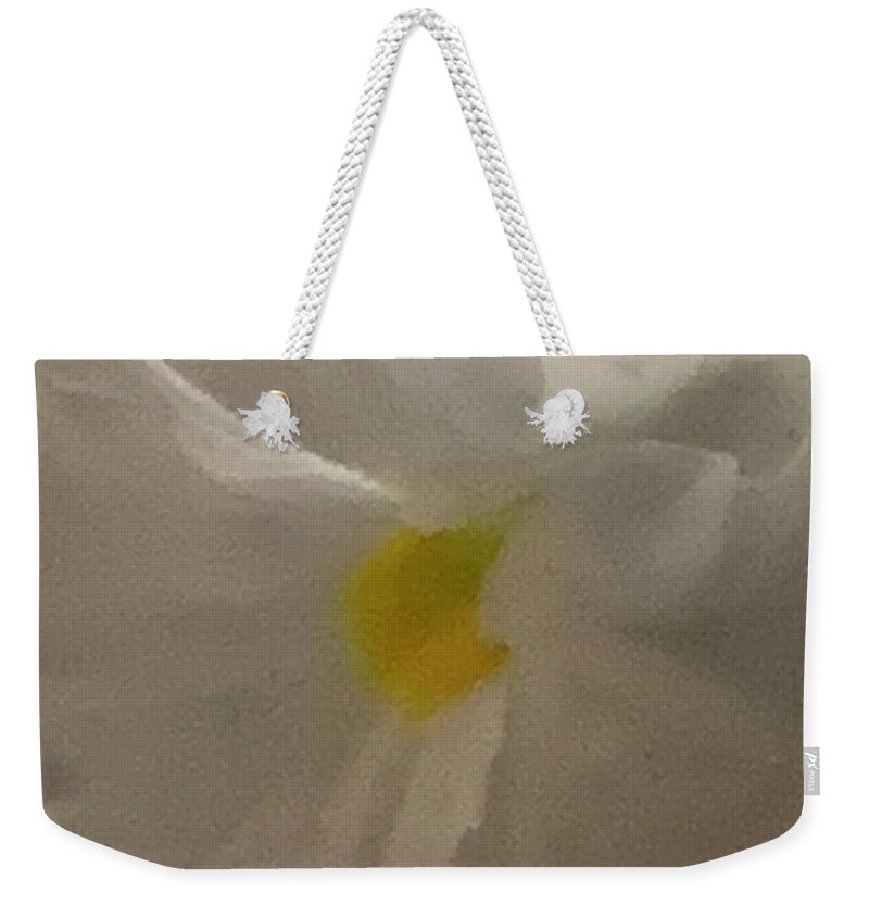 Mary Weekender Tote Bag featuring the photograph Radiant Recourse by Tiesa Wesen