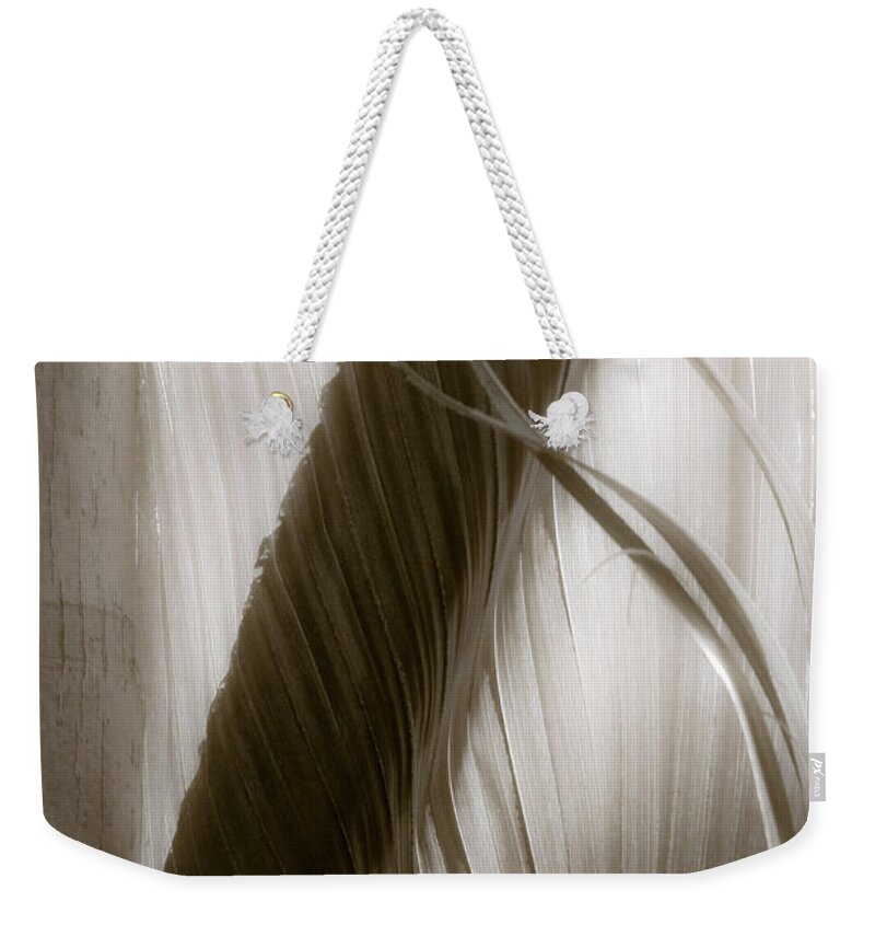 Como Zoo Weekender Tote Bag featuring the photograph Ragged Wings Shivered Kisses by Cynthia Dickinson