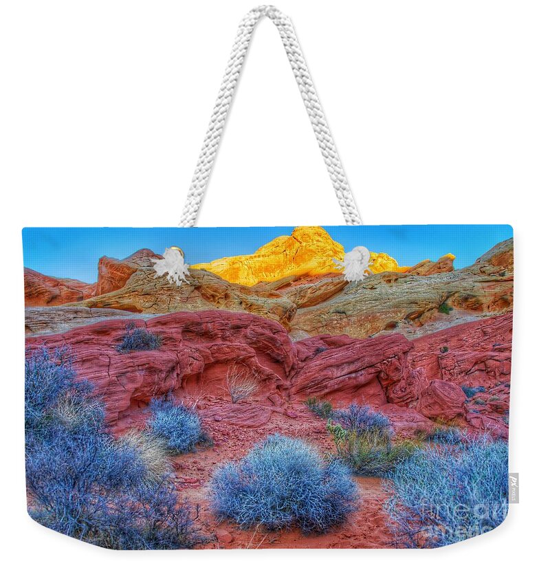  Weekender Tote Bag featuring the photograph Rainbow Sherbet by Rodney Lee Williams