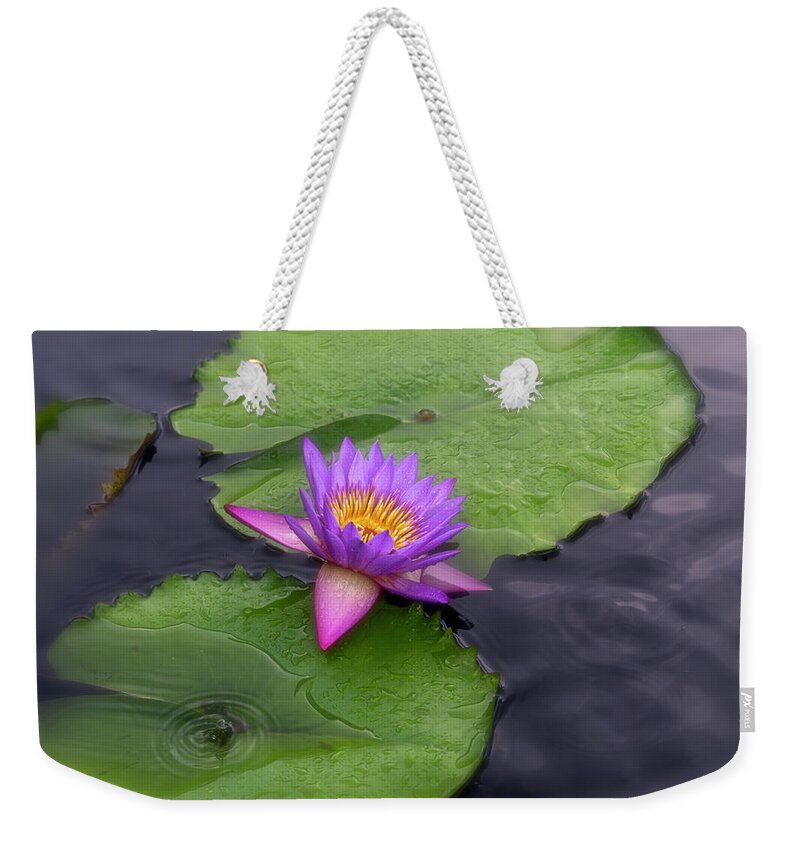 Summer Weekender Tote Bag featuring the photograph Raindrops and lilies. by Usha Peddamatham