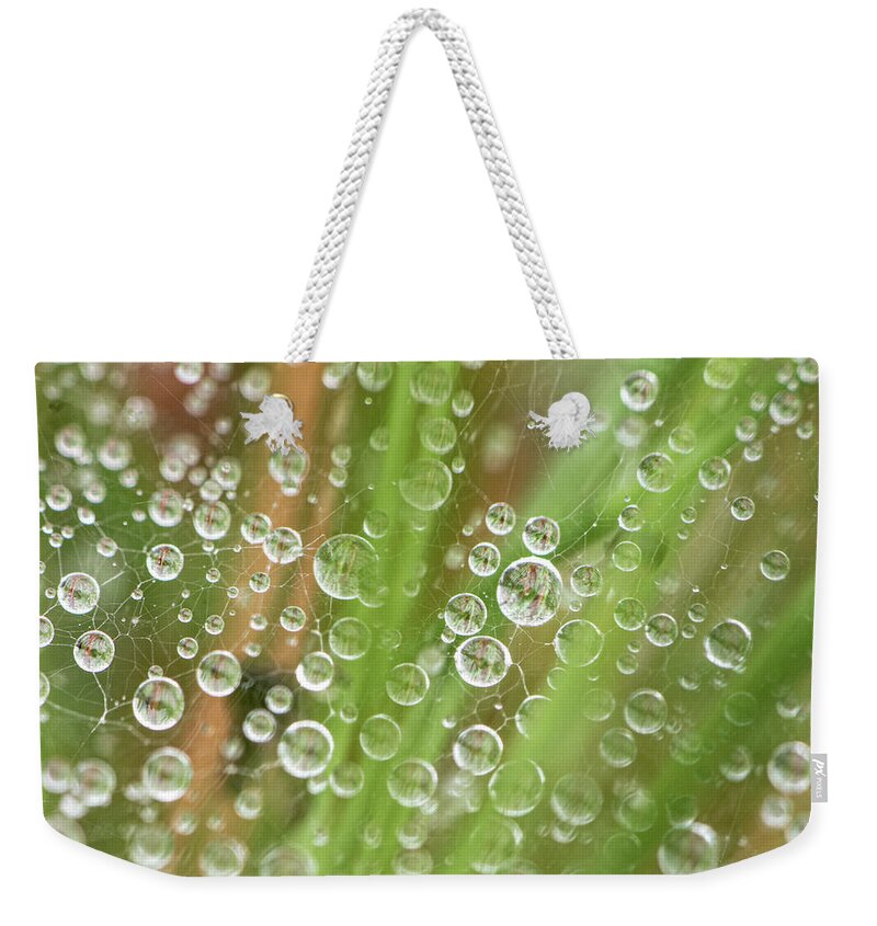 Rain Weekender Tote Bag featuring the photograph Raindrops On A Web Net by Karen Rispin