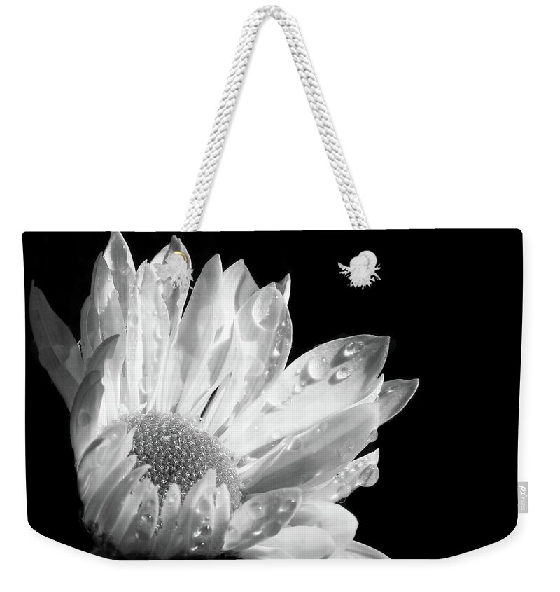 Daisy Weekender Tote Bag featuring the photograph Raindrops on Daisy Black and White by Jennie Marie Schell