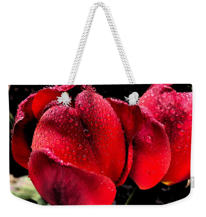 Tulips Weekender Tote Bag featuring the photograph Raindrops on Tulips by Jeanette French
