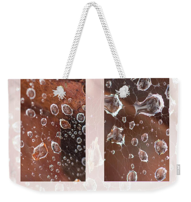 Raindrop Weekender Tote Bag featuring the photograph Raindrops On Web by Karen Rispin