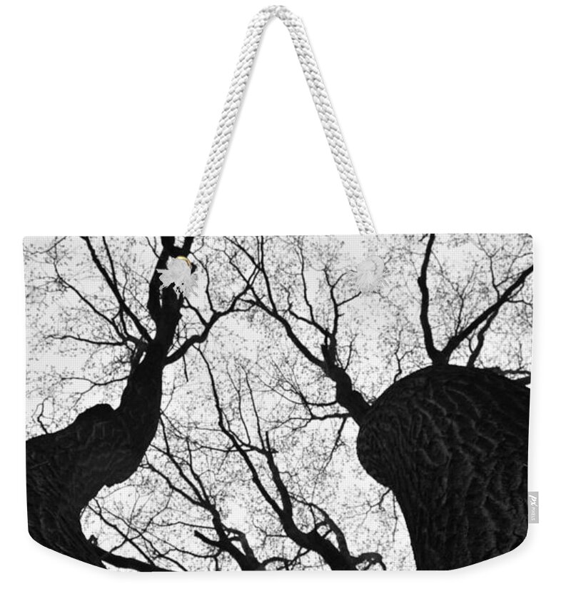 Spring Vibe Weekender Tote Bag featuring the photograph Rainy Spring Day by Stefania Caracciolo