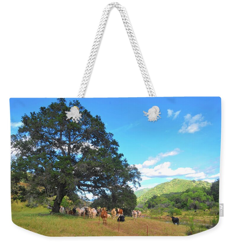 Cow Weekender Tote Bag featuring the photograph Ranch on Suey Creek by Floyd Snyder